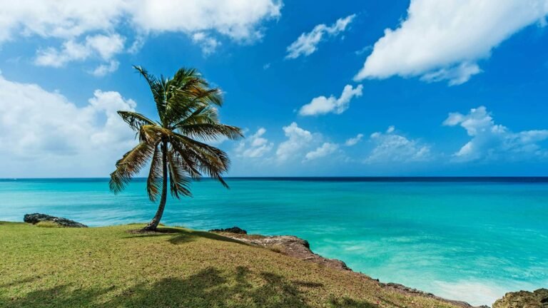 Beach in Barbados